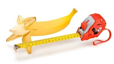 Normální velikost penisu je od 13 do 17 cm
